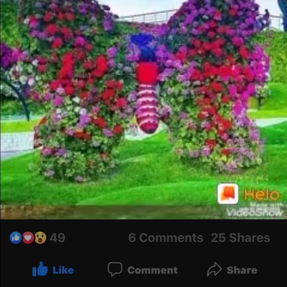 Meet your Posher, Ivilyn - Picture 6 of 11